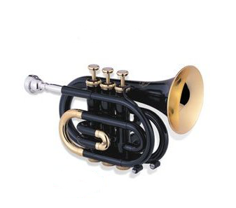 Forget the harmonica, carry a Pocket Trumpet - Audio and Sound